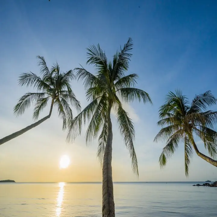 Самуи: Samui Paradise Chaweng Beach Resort 