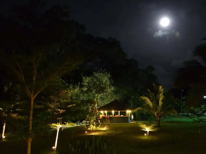 Тхаланг: Phuket Campground
