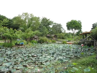 Канчанабури: Cave Cliff Tarzan River Kwai Resort