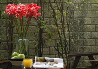 Тхаланг: Les Palmares Villas