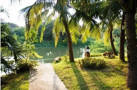 Тха-Май-Руак: Rithima Srichumsaeng Riverside Resort