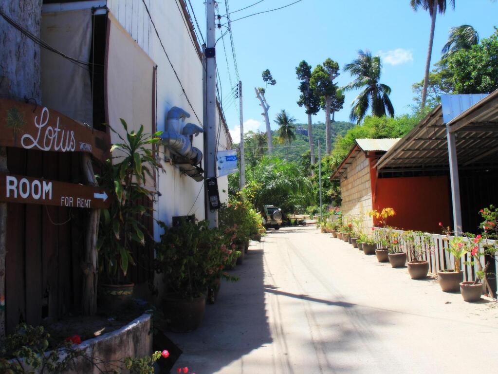 Остров Тау: Lotus Hostel Beach Koh Tao