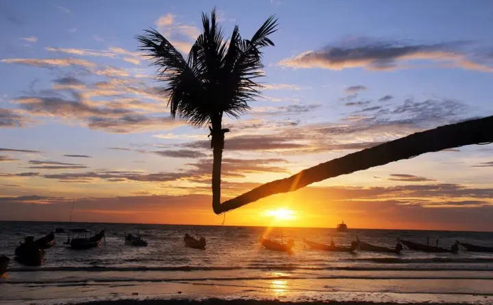 Остров Тау: Lotus Hostel Beach Koh Tao