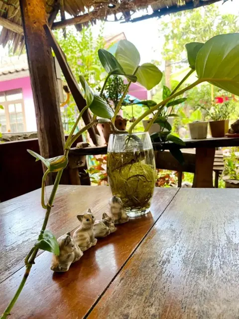 Канчанабури: Thai Guesthouse