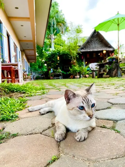 Канчанабури: Thai Guesthouse