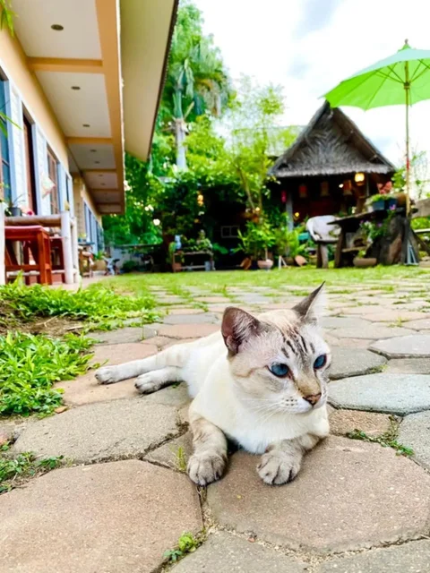 Канчанабури: Thai Guesthouse