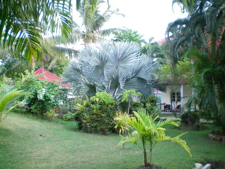 Patong Palace Hotel — фото 2