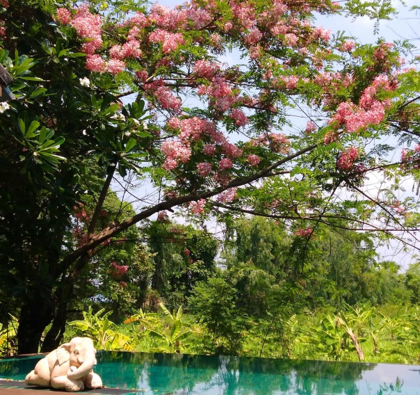 Ум-Чан: Gecko Villa