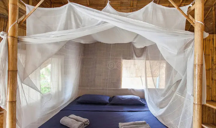 Ко-Липе: Green View Beach Resort