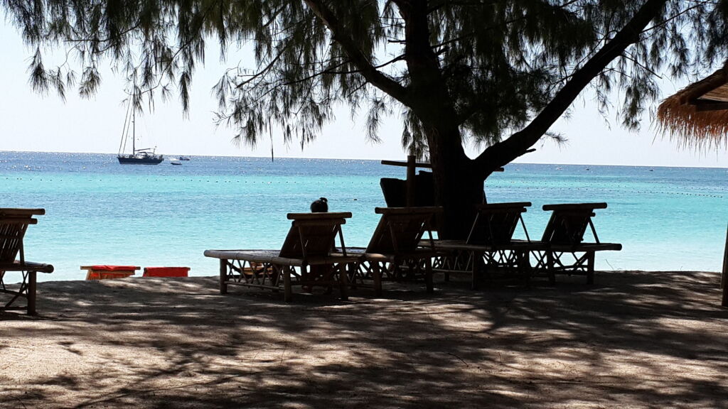 Ко-Липе: Green View Beach Resort