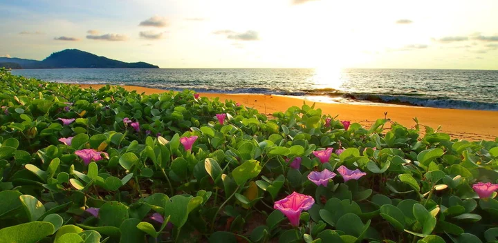 Пхукет: Ideo Phuket Hotel