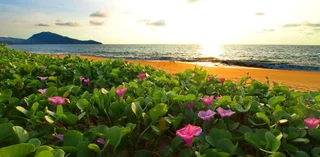 Пхукет: Ideo Phuket Hotel