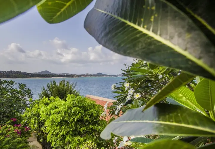 Самуи: Boujis Boutique Resort