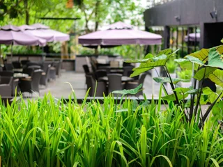 Пак-Чонг: The Greenery Resort Khao Yai