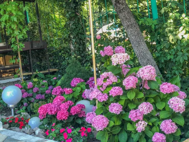 Тенгинское сельское поселение: Yug Alyans Guest house