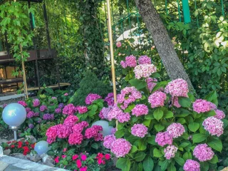 Тенгинское сельское поселение: Yug Alyans Guest house