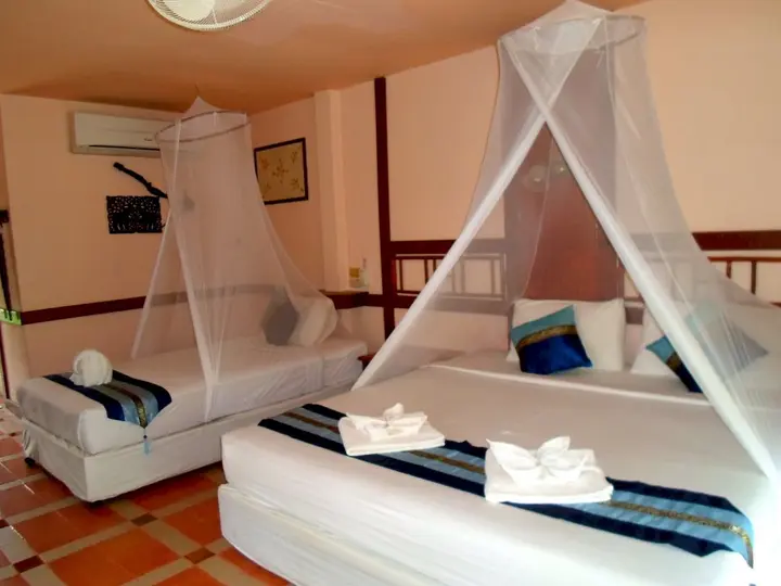 Фаном: Khao Sok River Lodge Hotel