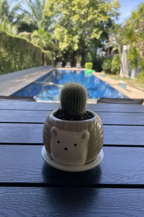 Краби: The Fong Krabi Resort