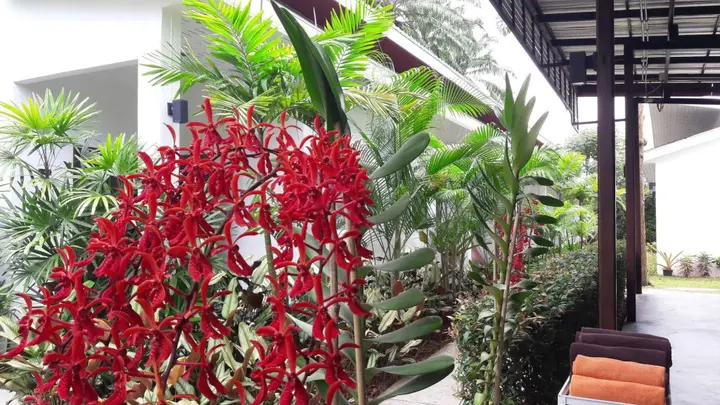 Краби: The Fong Krabi Resort