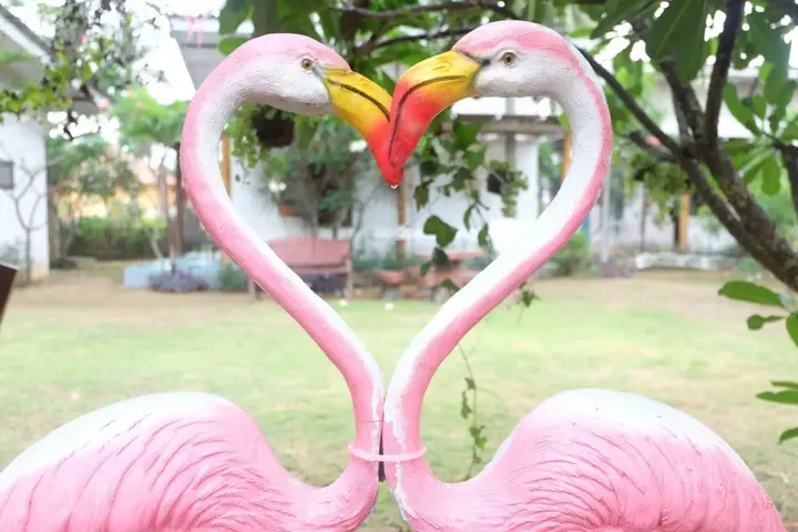Сам-Рои-Йот: Pranburi Delight Resort