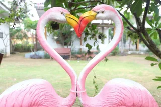 Сам-Рои-Йот: Pranburi Delight Resort