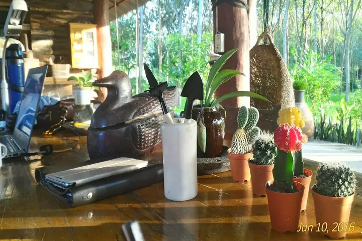 Районг: Farm stay 1000 Chang Valley