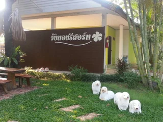 Варин-Чамрап: Wangnong Resort