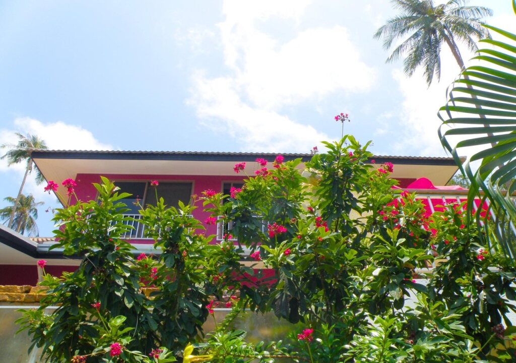 Самуи: Samui Pink House