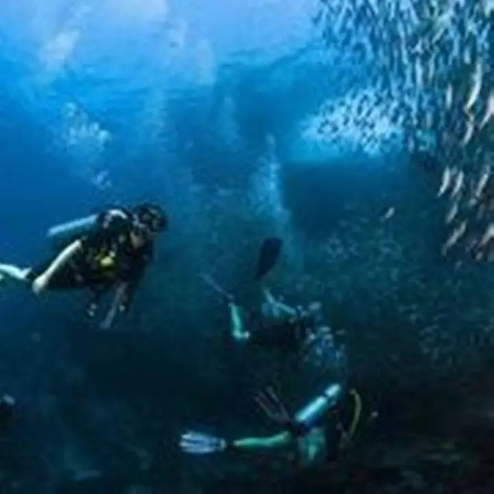 Остров Тау: Koh Tao Coral Grand Resort