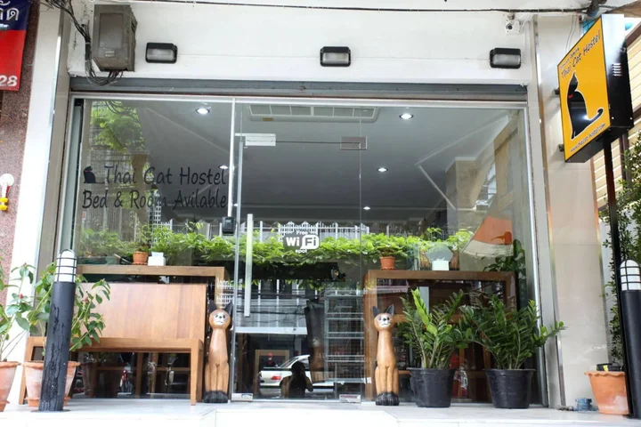 Бангкок: Thai Cat Hostel BB Bangkok