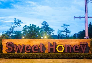 Сам-Рои-Йот: Sweet Honey