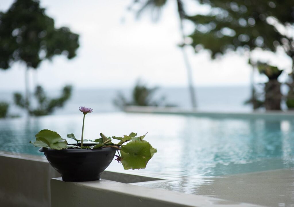 Ко Чанг: Nest Sense Resort