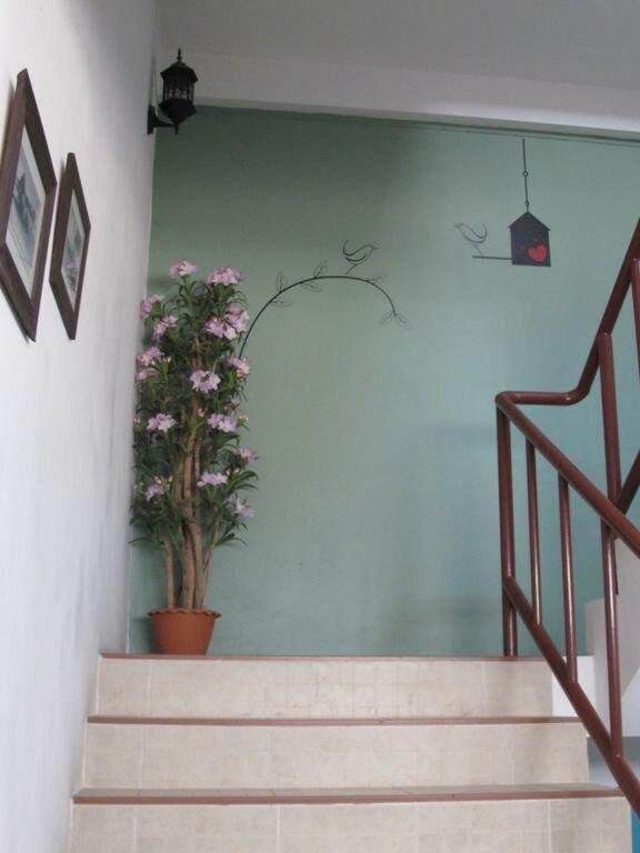 Муанг: Machima House