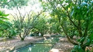 Ампхава: Warakorn Baansuan - Amphawa
