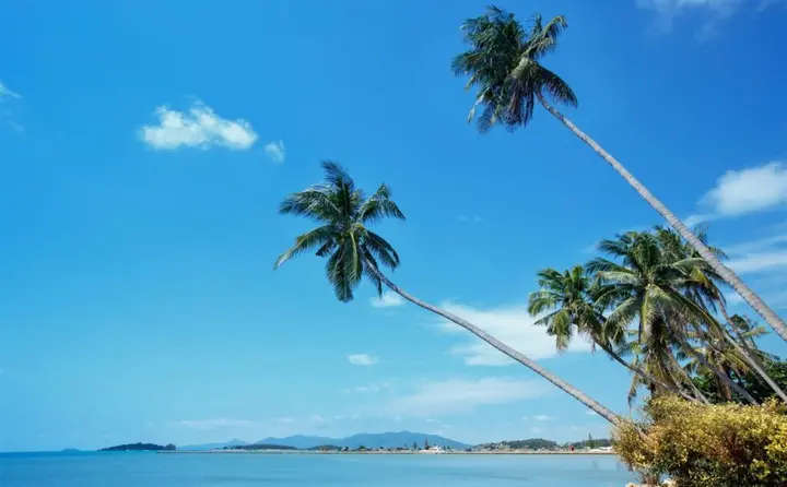 Самуи: Beachside Villa Pina Colada with beachclub