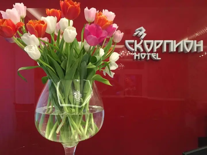 Мини-Отель Скорпион — фото 5