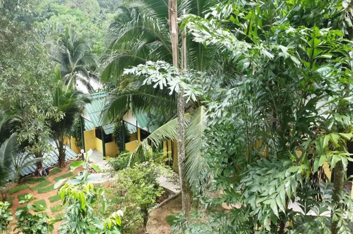 Ко Чанг: Island Lodge