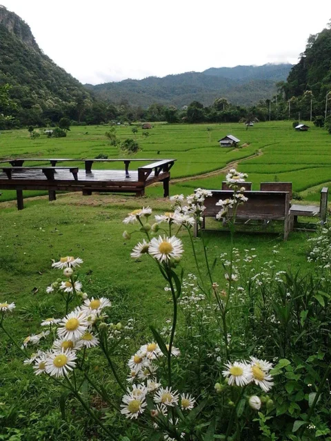 Мэхонгсон: View Point Lodge