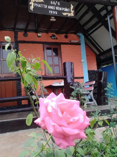 Мэхонгсон: View Point Lodge