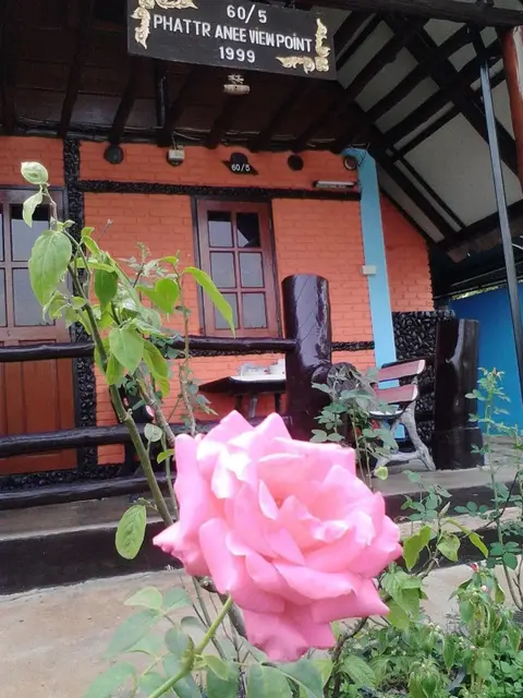 Мэхонгсон: View Point Lodge