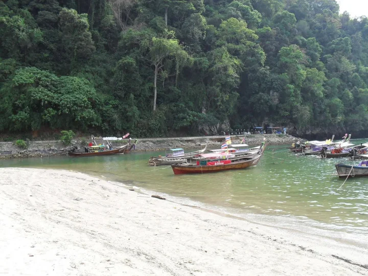 Краби: The Krabi Forest Homestay