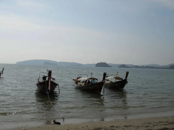 Краби: The Krabi Forest Homestay