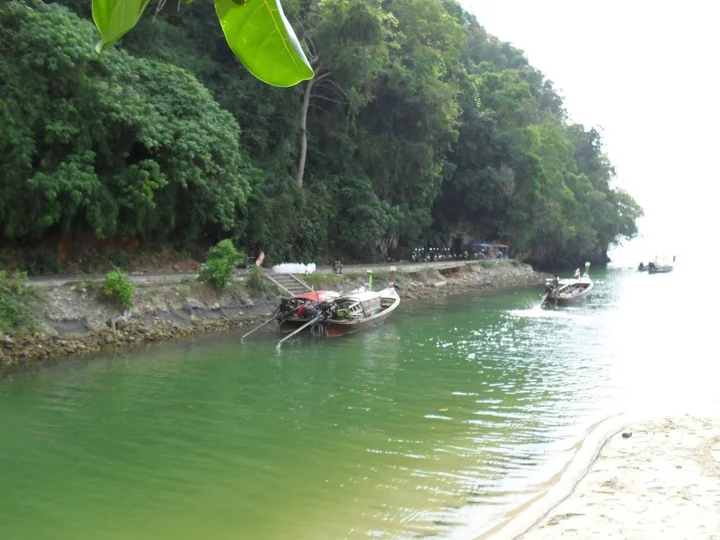 Краби: The Krabi Forest Homestay