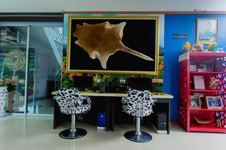 Кату: Koola Guesthouse