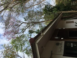 Сай Йок: Saiyok River House