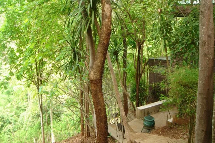 Сай Йок: Sam's Jungle Guesthouse