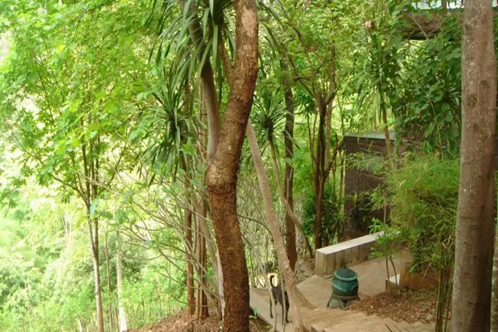 Сай Йок: Sam's Jungle Guesthouse