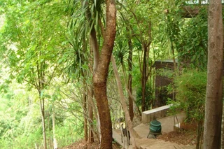 Сай Йок: Sam's Jungle Guesthouse
