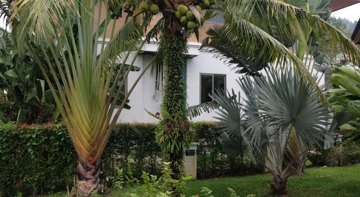Тхаланг: Villa Casa Resort