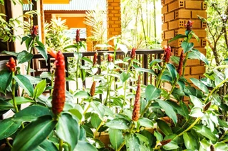 Тхаланг: Tanamas House